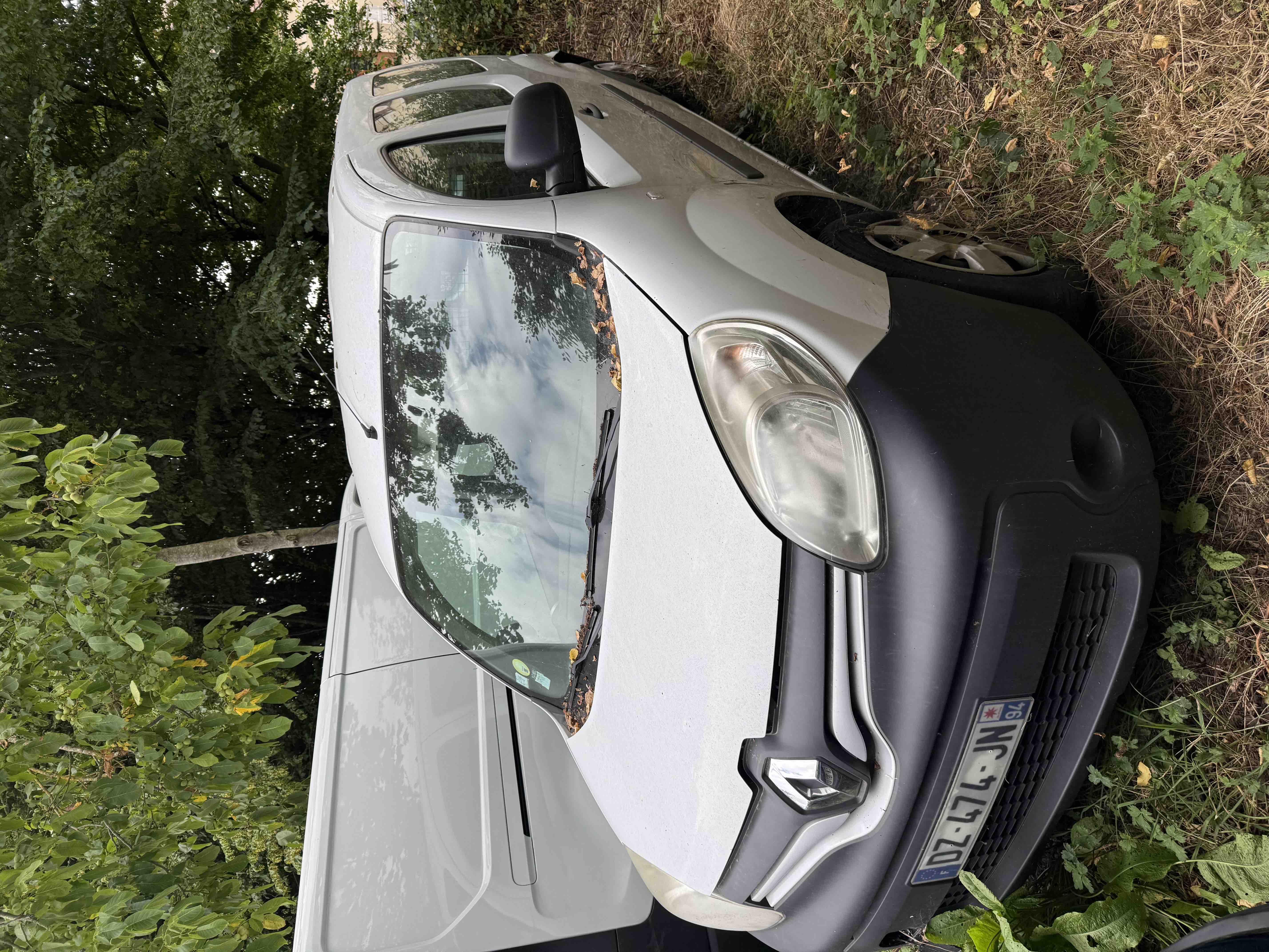Renault Kangoo Maxi